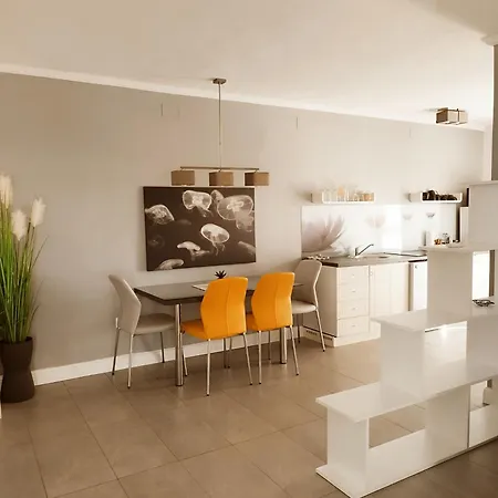 Apartments Merlin Novigrad  Room photo